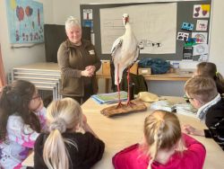 Rangerin Ricarda Rath spricht mit den Kindern der zweiten Klasse über das Aushängeschild des Landkreises Prignitz: den Storch. / Foto: LK Prignitz